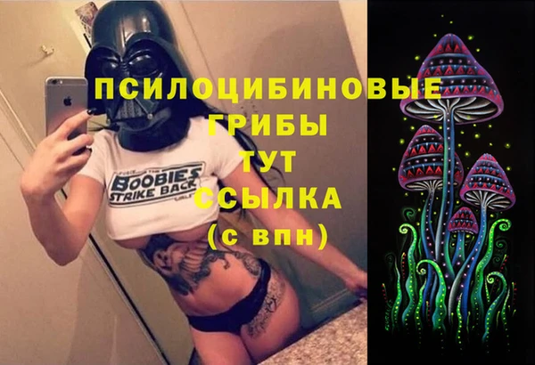 СК Аркадак